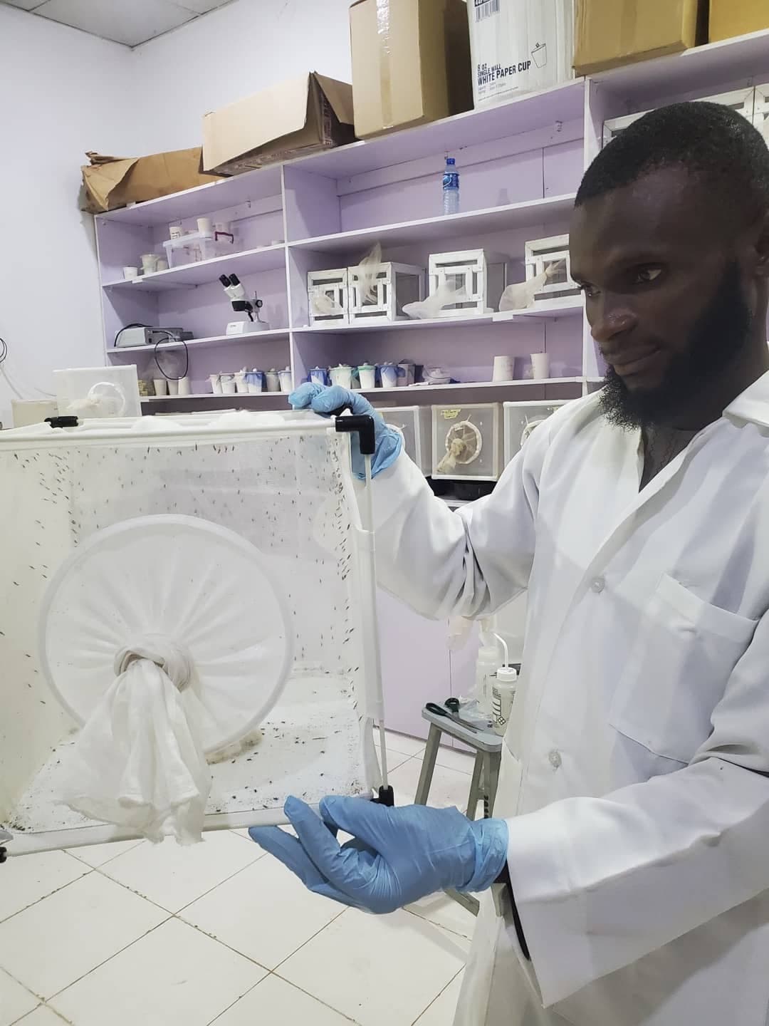 Researcher working with mosquito cages in the CTIDR Insectary