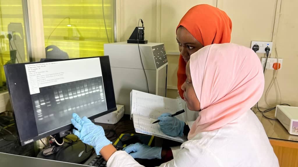 Gel electrophoresis analysis in the Molecular Biology Laboratory